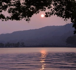 F5127EFE-6565-44B6-9C46-F7BFA08E246D/L0/001