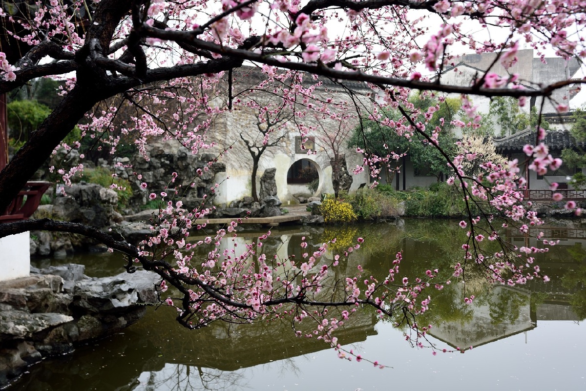 苏州园林的春天