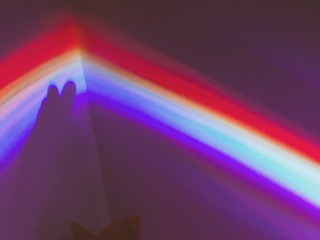 808F49F5-6AA3-4C77-874B-C498E9078A78/L0/001