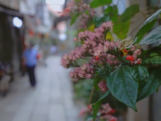 222EF276-E9B4-415A-8FE1-48A66E3C7AAC/L0/001
