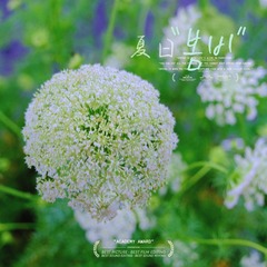 626EEA8D-5270-432B-A8AD-649DB42FC548/L0/001