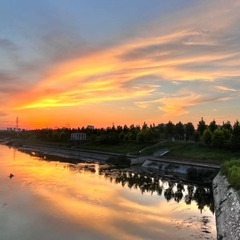 A72842F9-A0BF-4982-BE60-16B485F9CB46/L0/001