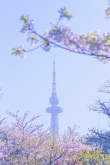 0D3F51EA-F6EC-483A-85F3-7213D264A11F/L0/001