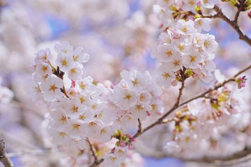 36D7E41F-AB6E-44B0-84B7-4C8AFB0BF62C/L0/001