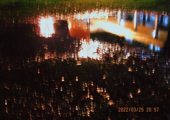 7C392EAC-9F6E-4829-A062-E387E3E04C2B/L0/001