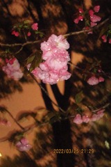 72E63CCC-5371-4B0F-8B7B-EB16A101B7C0/L0/001