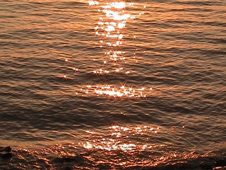 9083D69C-6127-42A9-B187-C46DF7ADE6DC/L0/001