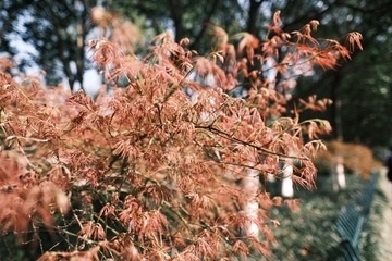 377B6096-FE2E-484F-A713-8E0255C62DB8/L0/001