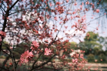 20C9571C-F71B-43ED-B70A-D94C9F8FE412/L0/001