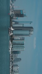 1000136231
