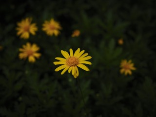 1000140348
