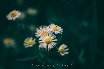 971819