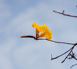 1000250972