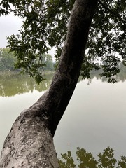 D045B459-51DB-4E19-B92E-CED104A39820/L0/001