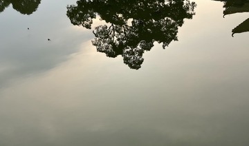 446F0366-4937-4F9A-A8FA-B11E0430DF6B/L0/001