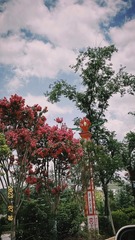 5065C3E7-FD01-4E5E-BC94-DFA0088953E8/L0/001