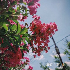 AF54458D-5D55-4403-9FAD-6E47A28CFC14/L0/001