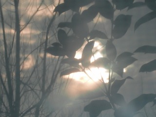 A90756D7-B04B-4101-88ED-5A3E9F4A7558/L0/001