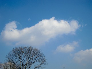 DD03A98A-1D5C-40A3-97F3-25C41A6162F7/L0/001
