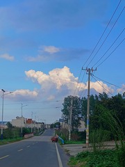 1000094528