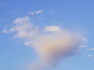 2031187
