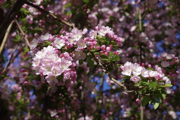 5F8EA977-C498-4C5A-9092-F80D255E20EE/L0/001