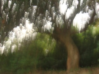 7D5B7FD9-7491-4267-9DB1-62116F80B30E/L0/001