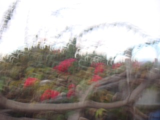 A39DB588-A56B-43CD-B4F7-D73666F63177/L0/001