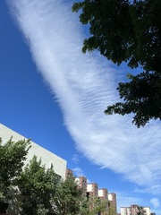 50EB84B3-0100-4060-8947-7B782D707520/L0/001
