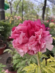 5588DB31-F0B5-4EF7-AF19-C21FFCCABCE5/L0/001