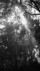 61B40047-CED5-4D60-9350-5F0703477323/L0/001