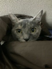 C1C88301-B5CD-4A61-B14A-AC87D097D3B6/L0/001