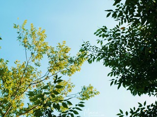 81915C5F-F5EA-4E14-BE54-DD36C7787C01/L0/001