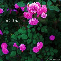 C90E8E41-8B39-4D15-931E-05A606283657/L0/001