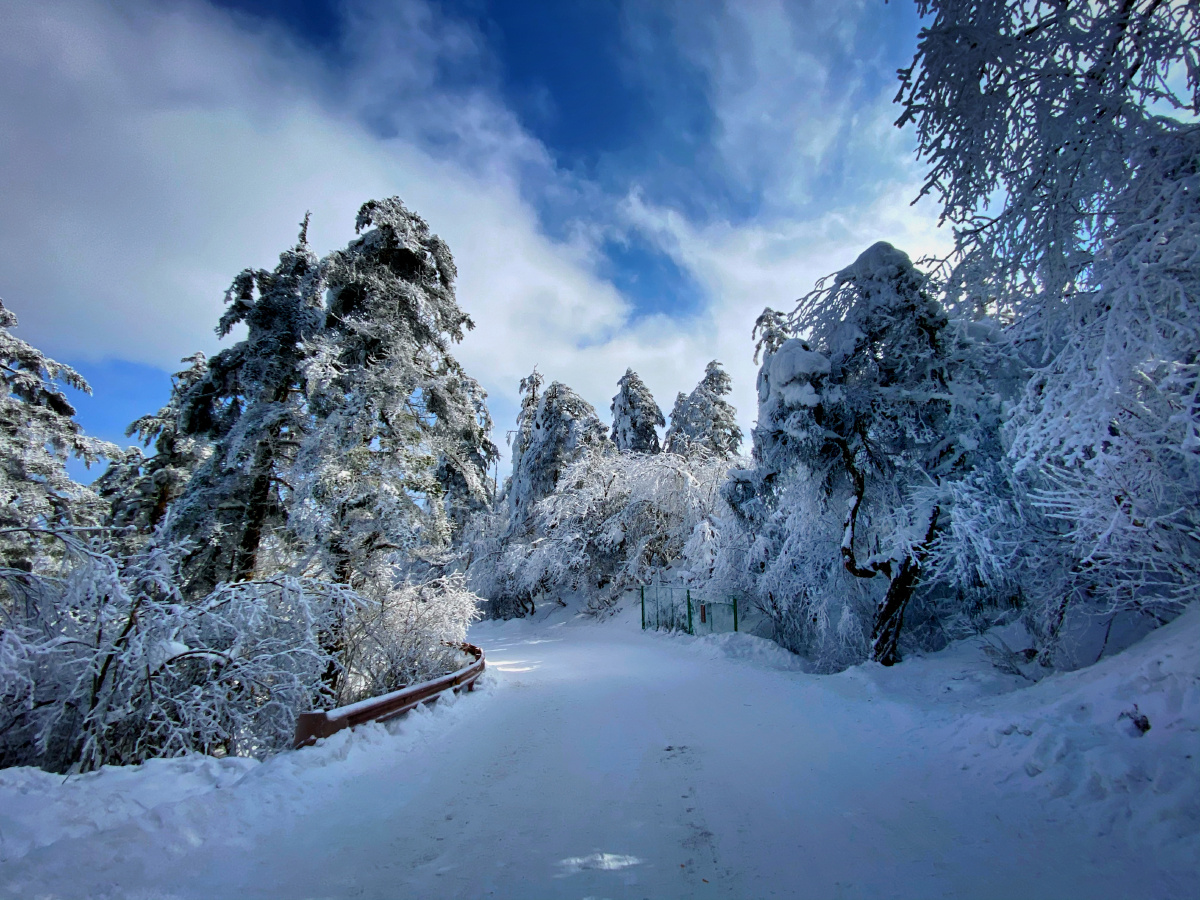 峨眉山雪景这也太美了吧
