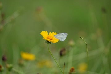C76A6D70-259F-4685-B6B8-2F5AA9914379/L0/001