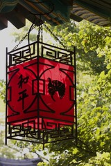 和平鸽.灯笼T