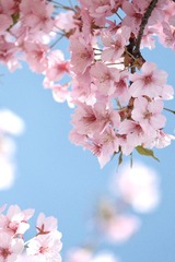 90C71A82-29E5-49C7-A9B5-91BCAC83D23E/L0/001