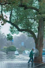 7D6BD278-3C98-48BA-8271-D08A502FC2EE/L0/001