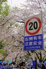 841CFFDE-21DA-42C2-9819-E6CD9A56F71D/L0/001
