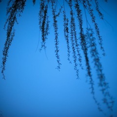春