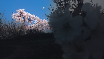 1526713