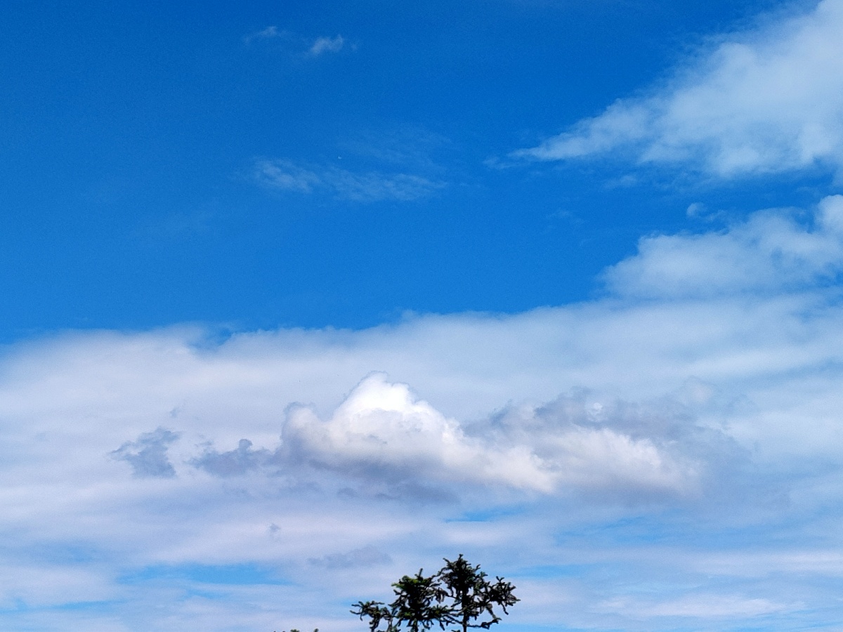 没有文案风景也只是单纯的好看