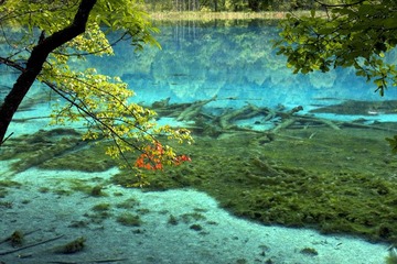 四川九寨沟的水12007_09_07