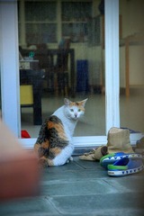 IMG_4972.jpg