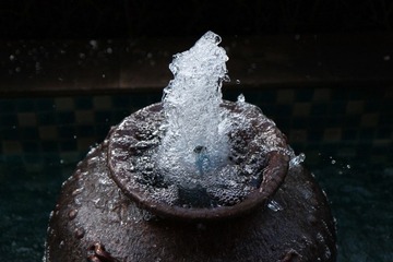 IMG_7037.jpg