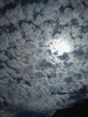 1006150