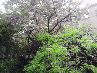 9237018D-45B0-4E5A-BADA-28795DB6B6DF/L0/001