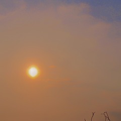927366A9-4604-4665-863B-DC110BD87ECB/L0/001