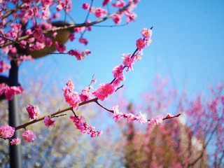 9DC9600A-53E7-4C44-A18E-94C6B5898398/L0/001